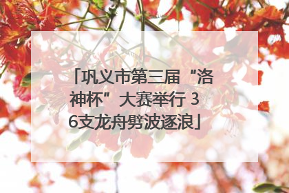 巩义市第三届“洛神杯”大赛举行 36支龙舟劈波逐浪