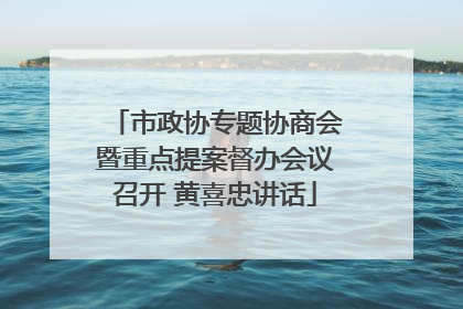 市政协专题协商会暨重点提案督办会议召开 黄喜忠讲话