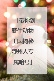 带你到野生动物王国揭秘鄂州人专属暗号