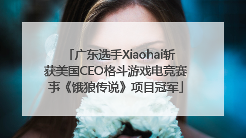 广东选手Xiaohai斩获美国CEO格斗游戏电竞赛事《饿狼传说》项目冠军