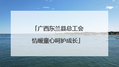 广西东兰县总工会情暖童心呵护成长