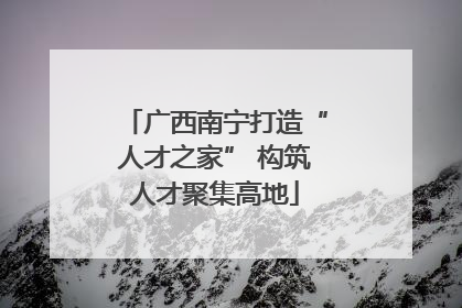 广西南宁打造“人才之家” 构筑人才聚集高地