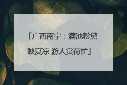 广西南宁：满池粉黛映夏凉 游人赏荷忙