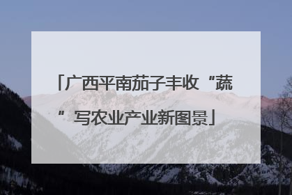 广西平南茄子丰收“蔬”写农业产业新图景