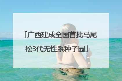 广西建成全国首批马尾松3代无性系种子园