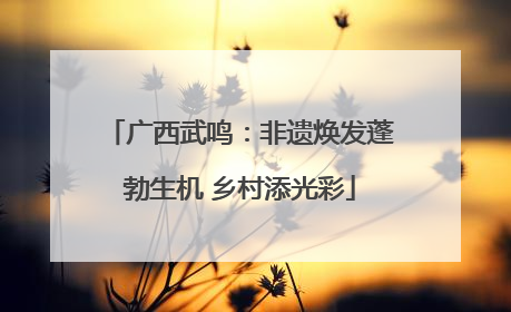 广西武鸣：非遗焕发蓬勃生机 乡村添光彩