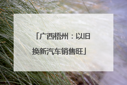 广西梧州：以旧换新汽车销售旺