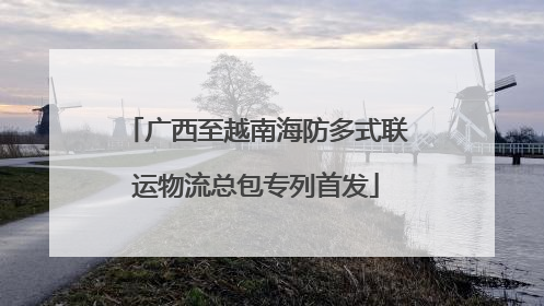 广西至越南海防多式联运物流总包专列首发