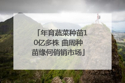 年育蔬菜种苗10亿多株 曲周种苗缘何俏销市场