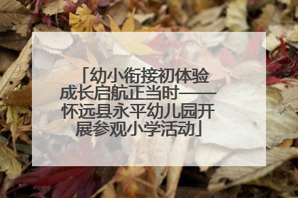 幼小衔接初体验 成长启航正当时——怀远县永平幼儿园开展参观小学活动
