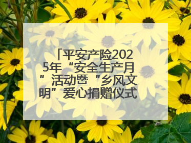 平安产险2025年“安全生产月”活动暨“乡风文明”爱心捐赠仪式在菏泽单县举行