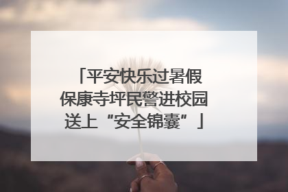 平安快乐过暑假 保康寺坪民警进校园送上“安全锦囊”
