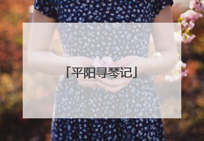 平阳寻琴记