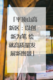 平顶山高新区：以创新为笔 绘就高质量发展新图景