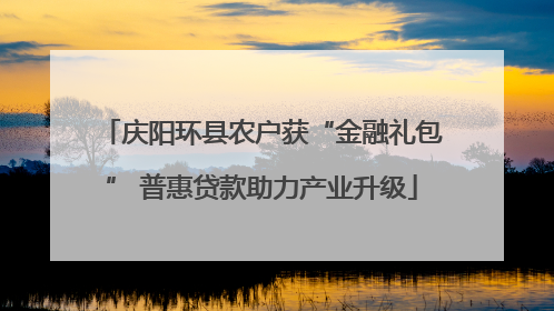 庆阳环县农户获“金融礼包” 普惠贷款助力产业升级