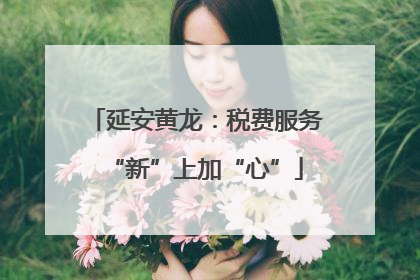 延安黄龙：税费服务“新”上加“心”