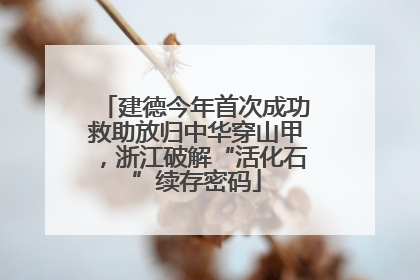 建德今年首次成功救助放归中华穿山甲，浙江破解“活化石”续存密码
