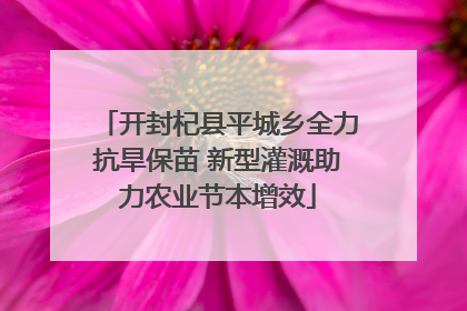 开封杞县平城乡全力抗旱保苗 新型灌溉助力农业节本增效