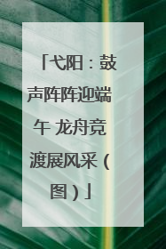 弋阳：鼓声阵阵迎端午 龙舟竞渡展风采（图）