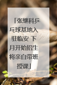 张继科乒乓球基地入驻临安 下月开始招生将亲自带班授课