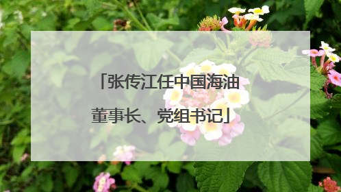 张传江任中国海油董事长、党组书记