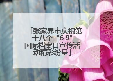 张家界市庆祝第十八个“6·9”国际档案日宣传活动精彩纷呈