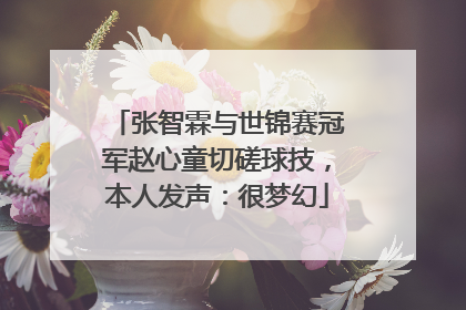 张智霖与世锦赛冠军赵心童切磋球技，本人发声：很梦幻