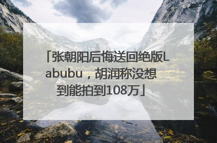 张朝阳后悔送回绝版Labubu，胡润称没想到能拍到108万