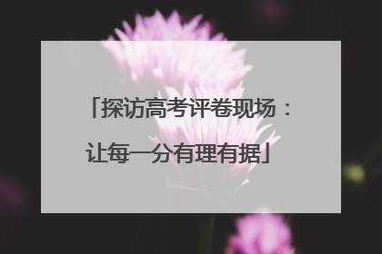 探访高考评卷现场：让每一分有理有据