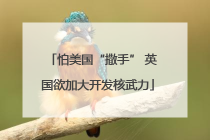 怕美国“撒手” 英国欲加大开发核武力
