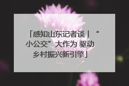感知山东记者谈丨“小公交”大作为 驱动乡村振兴新引擎