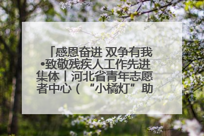 感恩奋进 双争有我•致敬残疾人工作先进集体丨河北省青年志愿者中心（“小橘灯”助残接力计划实施团队）：用温暖陪伴，守护特殊孩子成长