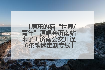 房东的猫“世界/青年”演唱会济南站来了！济南公交开通6条歌迷定制专线