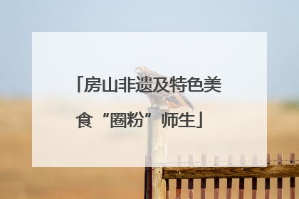 房山非遗及特色美食“圈粉”师生