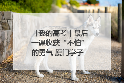 我的高考｜最后一课收获“不怕”的勇气 厦门学子万里同风赴新程