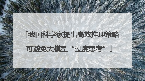 我国科学家提出高效推理策略 可避免大模型“过度思考”