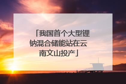 我国首个大型锂钠混合储能站在云南文山投产