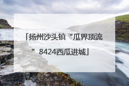扬州沙头镇“瓜界顶流”8424西瓜进城