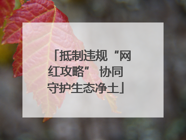 抵制违规“网红攻略” 协同守护生态净土