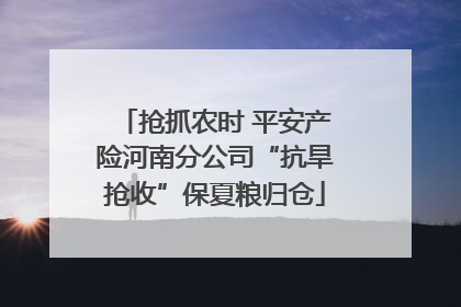 抢抓农时 平安产险河南分公司“抗旱抢收”保夏粮归仓