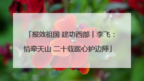 报效祖国 建功西部丨李飞：情牵天山 二十载医心护边陲