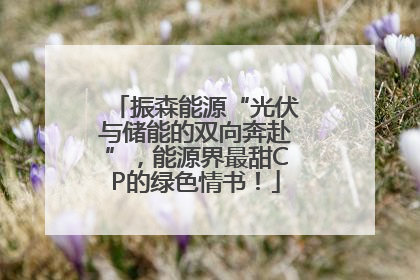 振森能源“光伏与储能的双向奔赴”，能源界最甜CP的绿色情书！