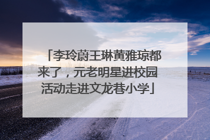 李玲蔚王琳黄雅琼都来了，元老明星进校园活动走进文龙巷小学