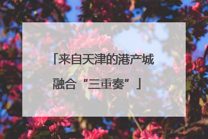 来自天津的港产城融合“三重奏”
