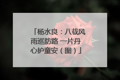 杨水良：八载风雨巡防路 一片丹心护童安（图）
