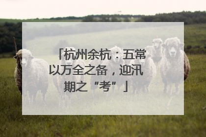 杭州余杭：五常以万全之备，迎汛期之“考”