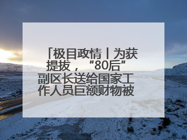 极目政情丨为获提拔，“80后”副区长送给国家工作人员巨额财物被“双开”
