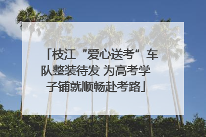 枝江“爱心送考”车队整装待发 为高考学子铺就顺畅赴考路