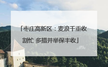 枣庄高新区：麦浪千重收割忙 多措并举保丰收