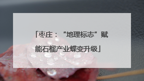 枣庄：“地理标志”赋能石榴产业蝶变升级